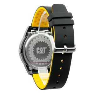 cat LJ.160.21.721 back