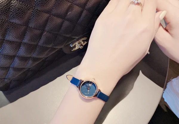 Julius JA-979D on hand