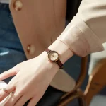 Julius JA-979E on hand
